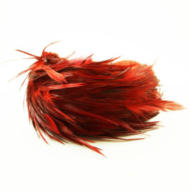 Diadem med fjädrar